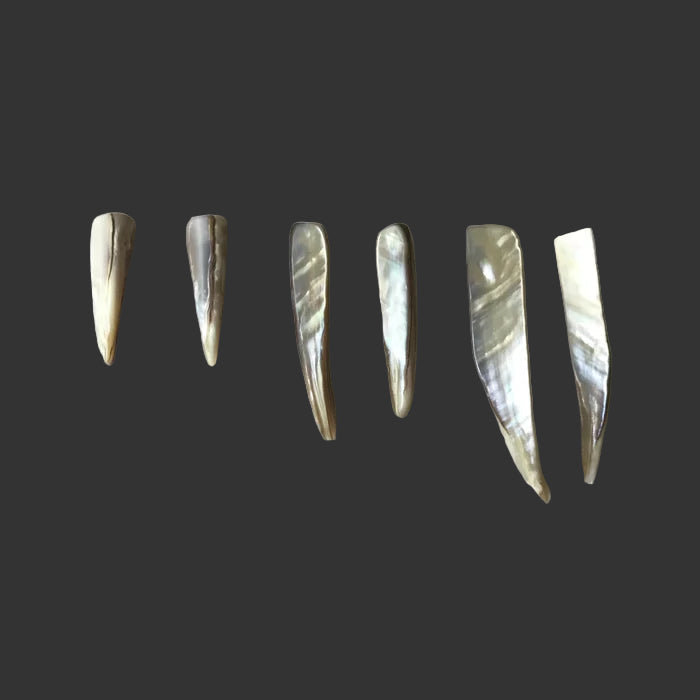 Abalone Dagger Earrings | Single/Pair